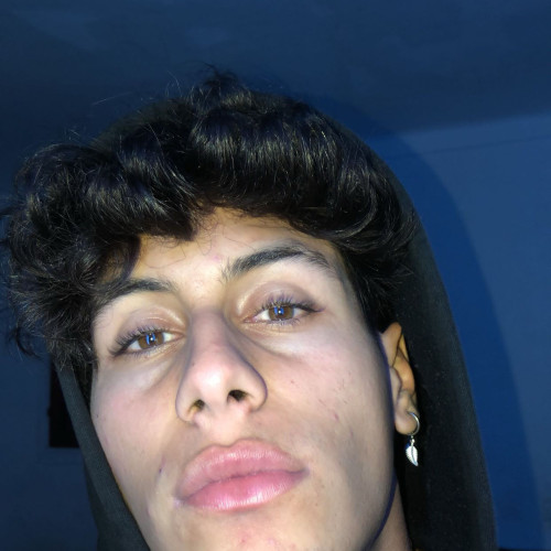 mehdi s.
