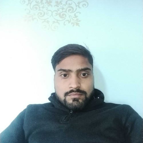 shashi y.