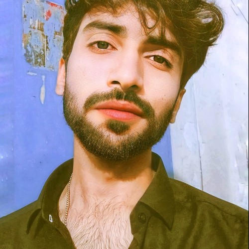 Faizan K.