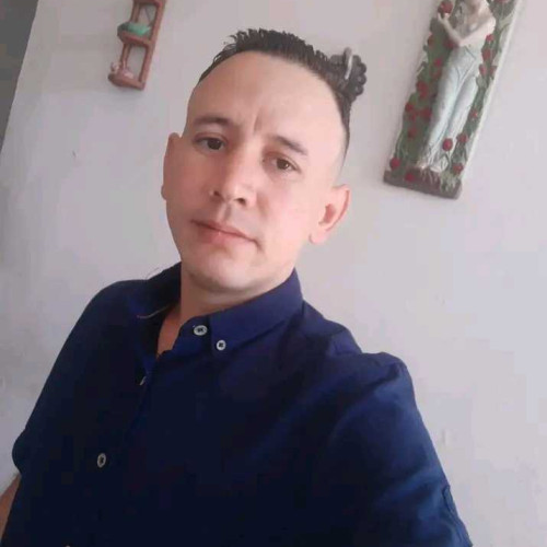 sandro d.