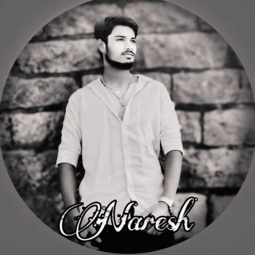 naresh n.