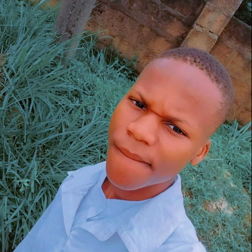 kelvin K.