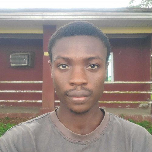 Chukuemeke A.