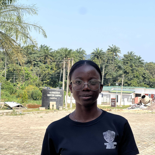 Damilola O.