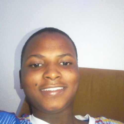 almustapha n.