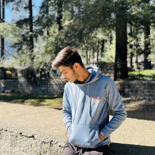 Aryan S.