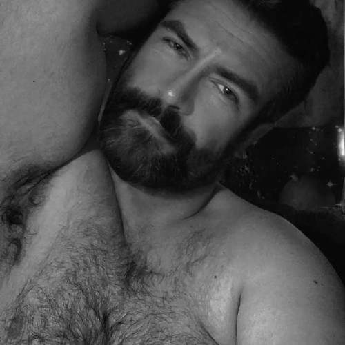 Taylor m.