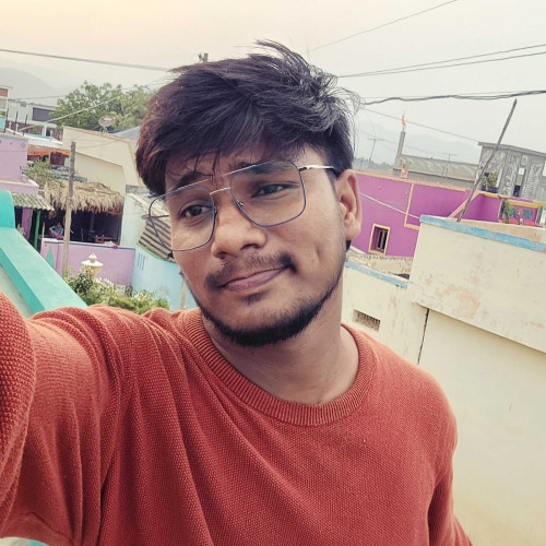 vemula P.