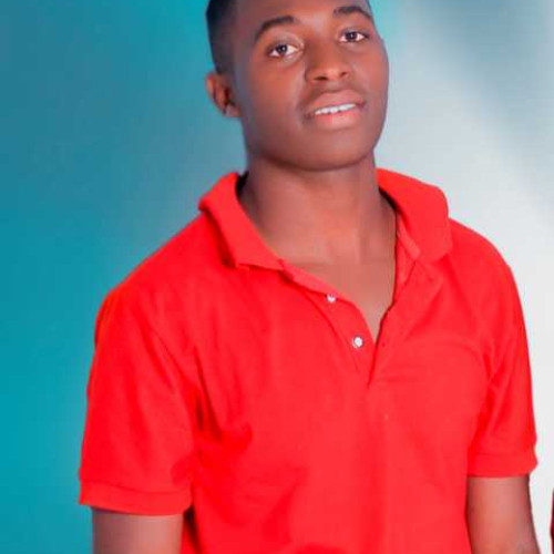 mlosa s.