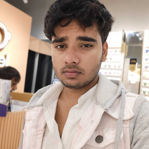 Raj S.