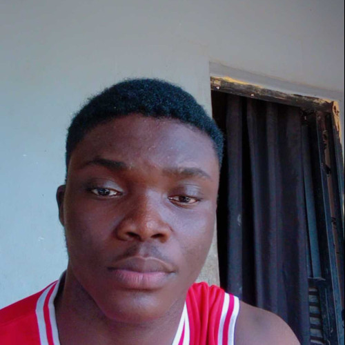 mes Kelvin o.