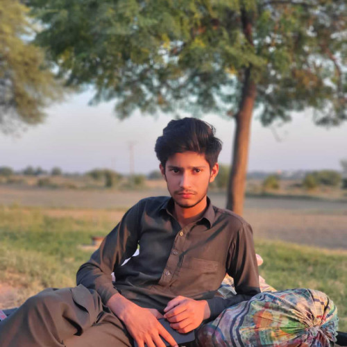 malik ali H.