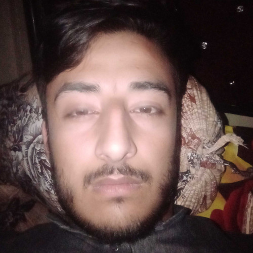 salman k.