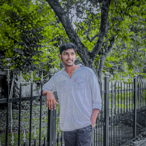 raju d.