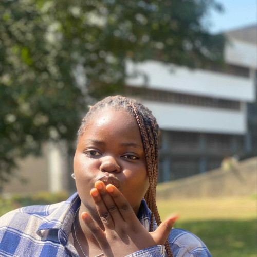 Pamilerin T.