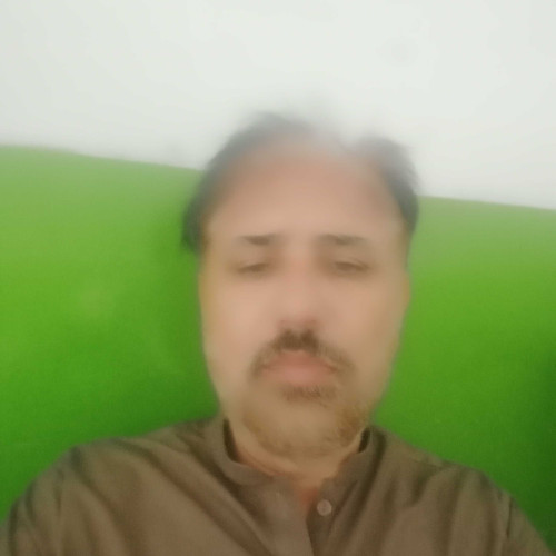 Muhammad Waseem Q.