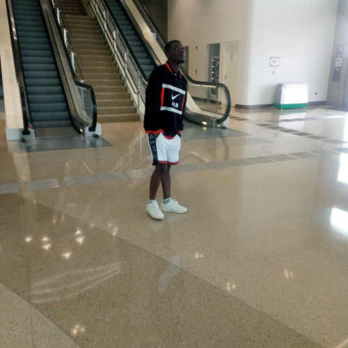 ogundipe o.