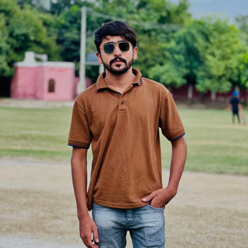 Zaibi M.