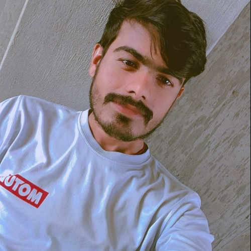 Dinesh k.
