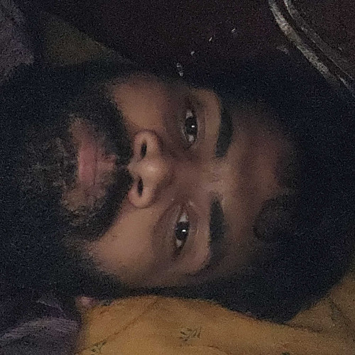 Vignesh N.