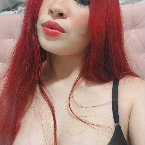 Shely l.