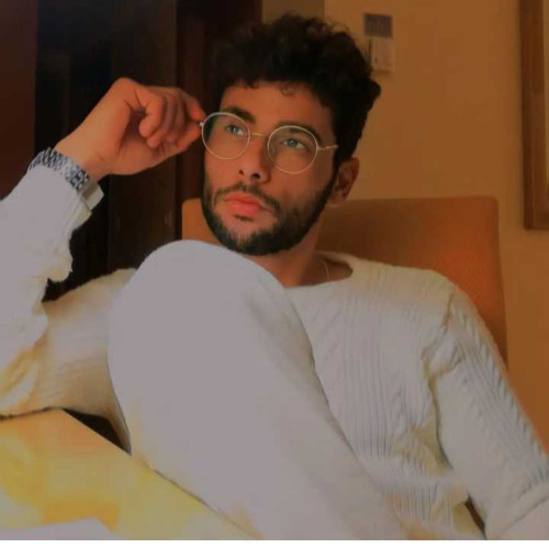 mehdi o.