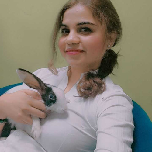 Alizeh A.