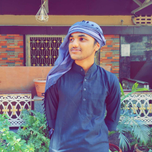 parvesh k.