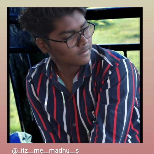madhu s.