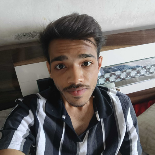 vishnu v.
