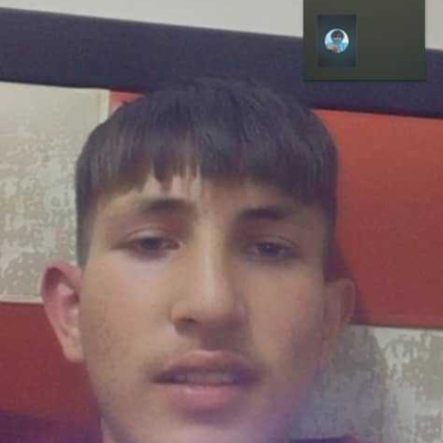ghaith n.