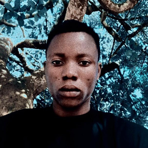 Opeyemi S.
