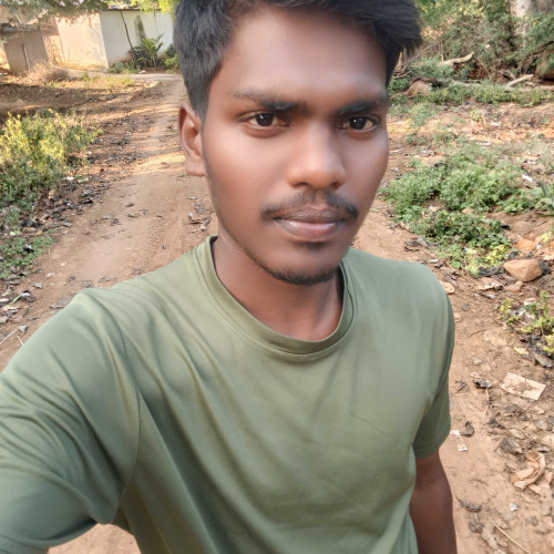ravi t.