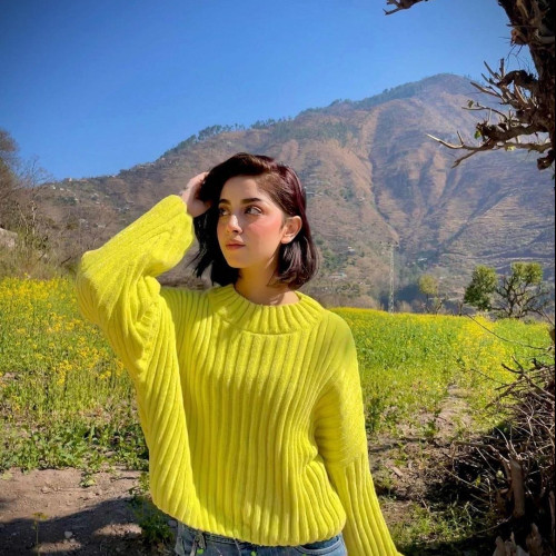 dilruba a.