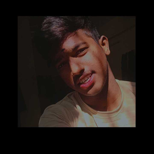 karthik n.