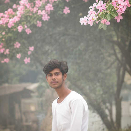 Anurag k.