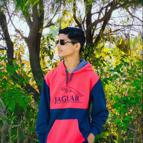 gopi n.