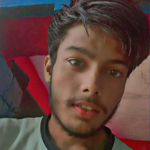 krishna T.