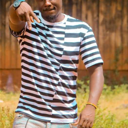 shad n.