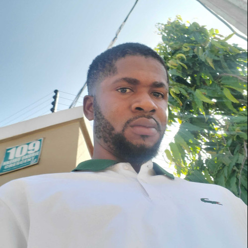 Ajayi T.