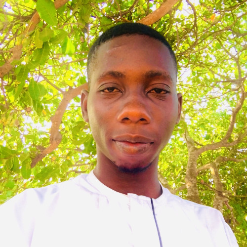 Adeniji V.