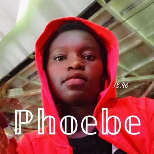 phoebe n.