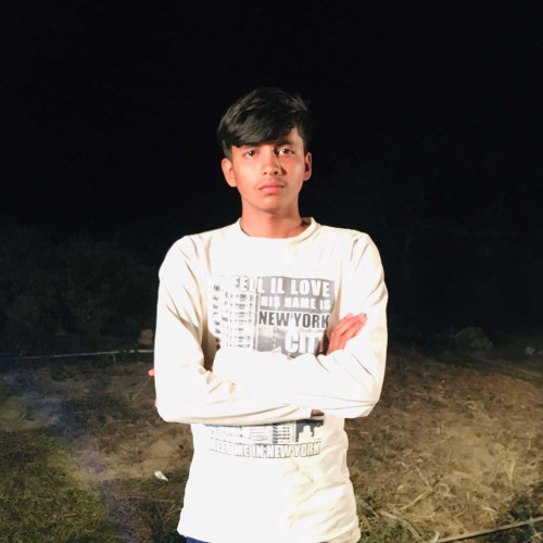 Debashish B.