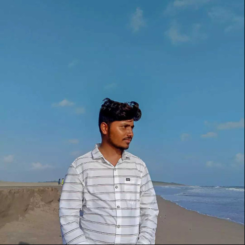 vyas s.