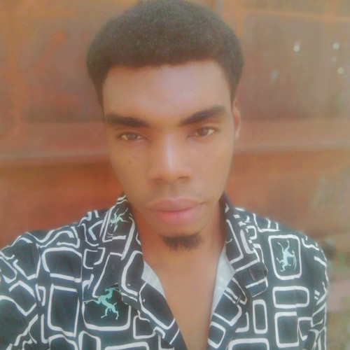 Emenike John E.