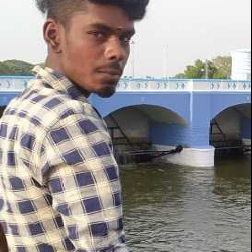 Bose b.