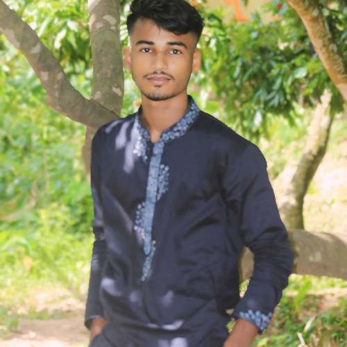 Md Saiful S.